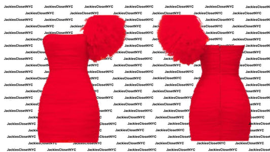 NOELLE House of CB SCARLET RUFFLE SLEEVE DRESS